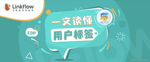 不容错过的用户标签全面解读 建议收藏 用户标签分类 csdn博客